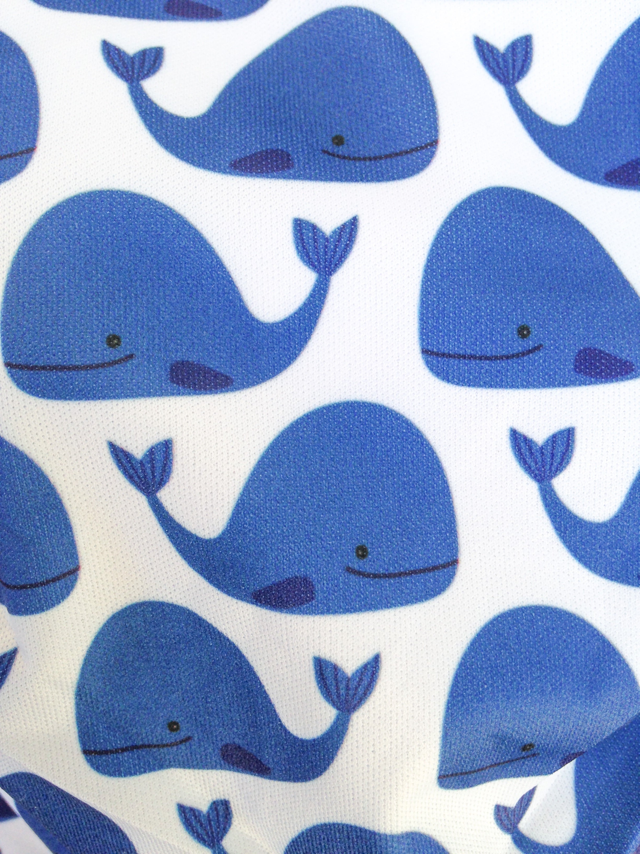 Modern Cloth Nappy- Wally the Whale